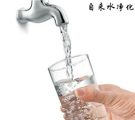 自来水净化果壳活性炭—0371-63239958 自来水净化果壳活性炭—0371-63239958